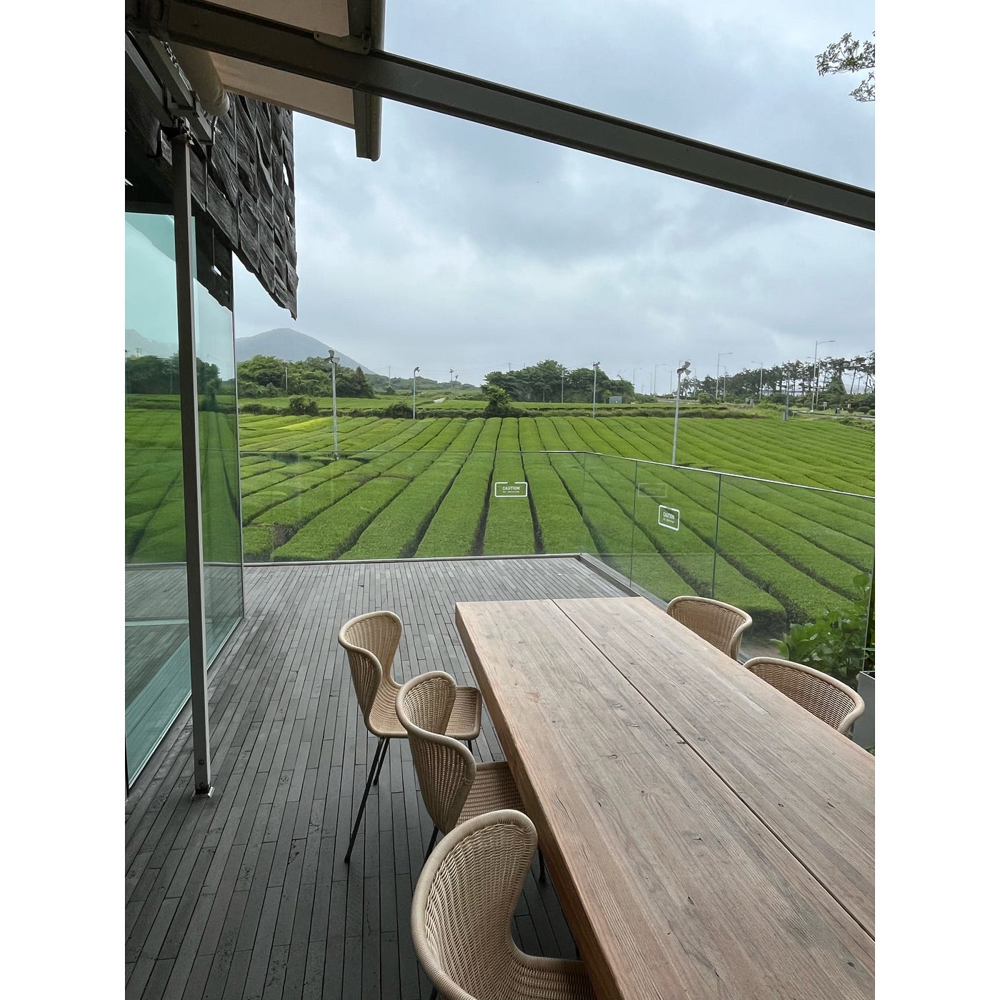 Osulloc 茶博物館 & Innisfree Green Cafe
