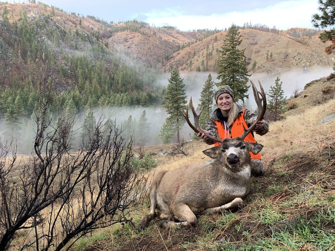 Hunt Washington: a guide to getting started | by The Washington 