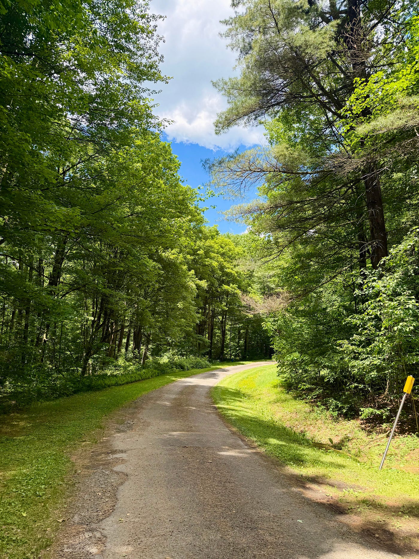 Biking at Bowman Lake Campground/Author Photo