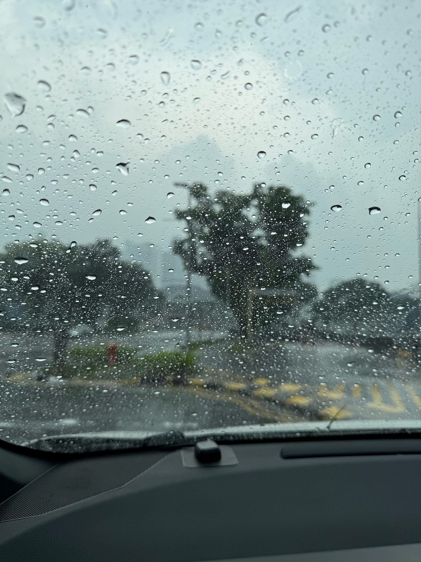 photo by author: reflects my mood but in reality I love cooler weather like this