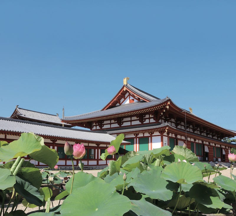 HASU | 蓮 : The Ibuki of July — A Sacred Flower Gracing the Waters
