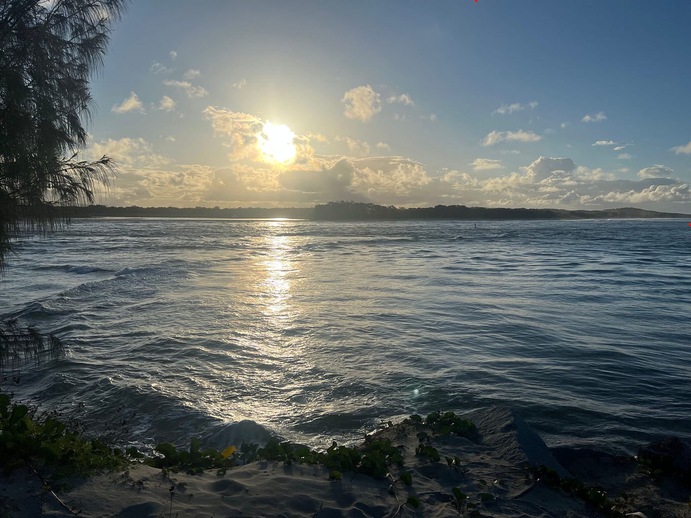 NOOSA: A BIOSPHERE OF RELATIONSHIPS
