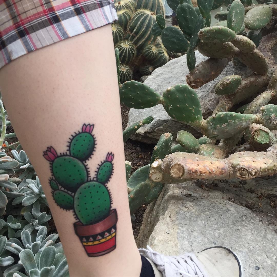 Cactus tattoo designs  Tatuagem de cactus, Ideias de tatuagens