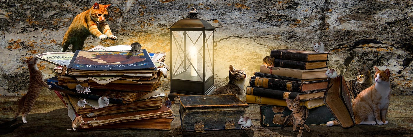 JSPF Recommends — Books for the New Year 2022 — Part 3