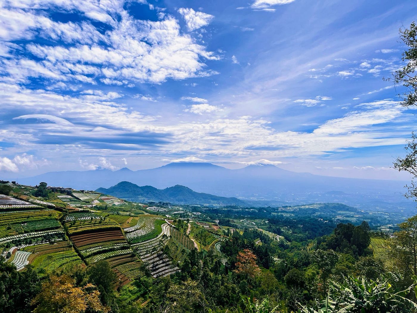 Desa Adipuro Kaliangkrik: Pesona Dusun Prampelan sebagai Harta Karun Budaya di Lereng Pegunungan