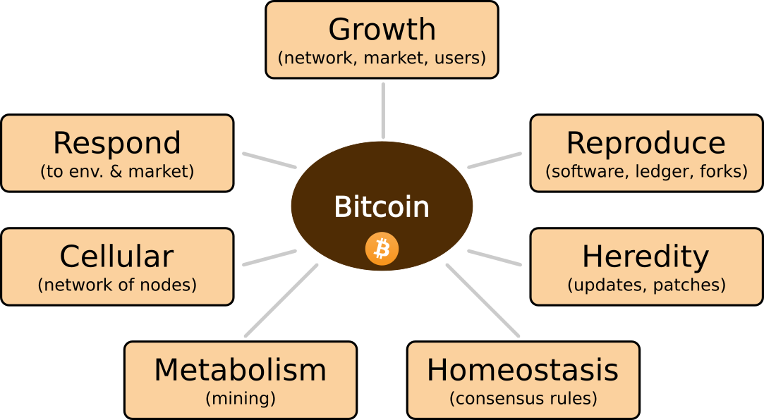 Bitcoin as Living Organism Diagram