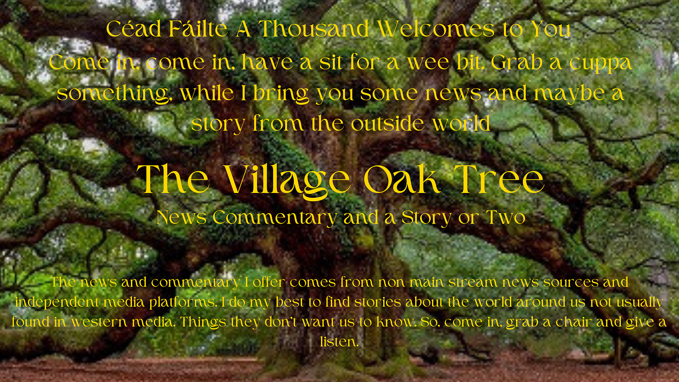 The Village Oak Tree