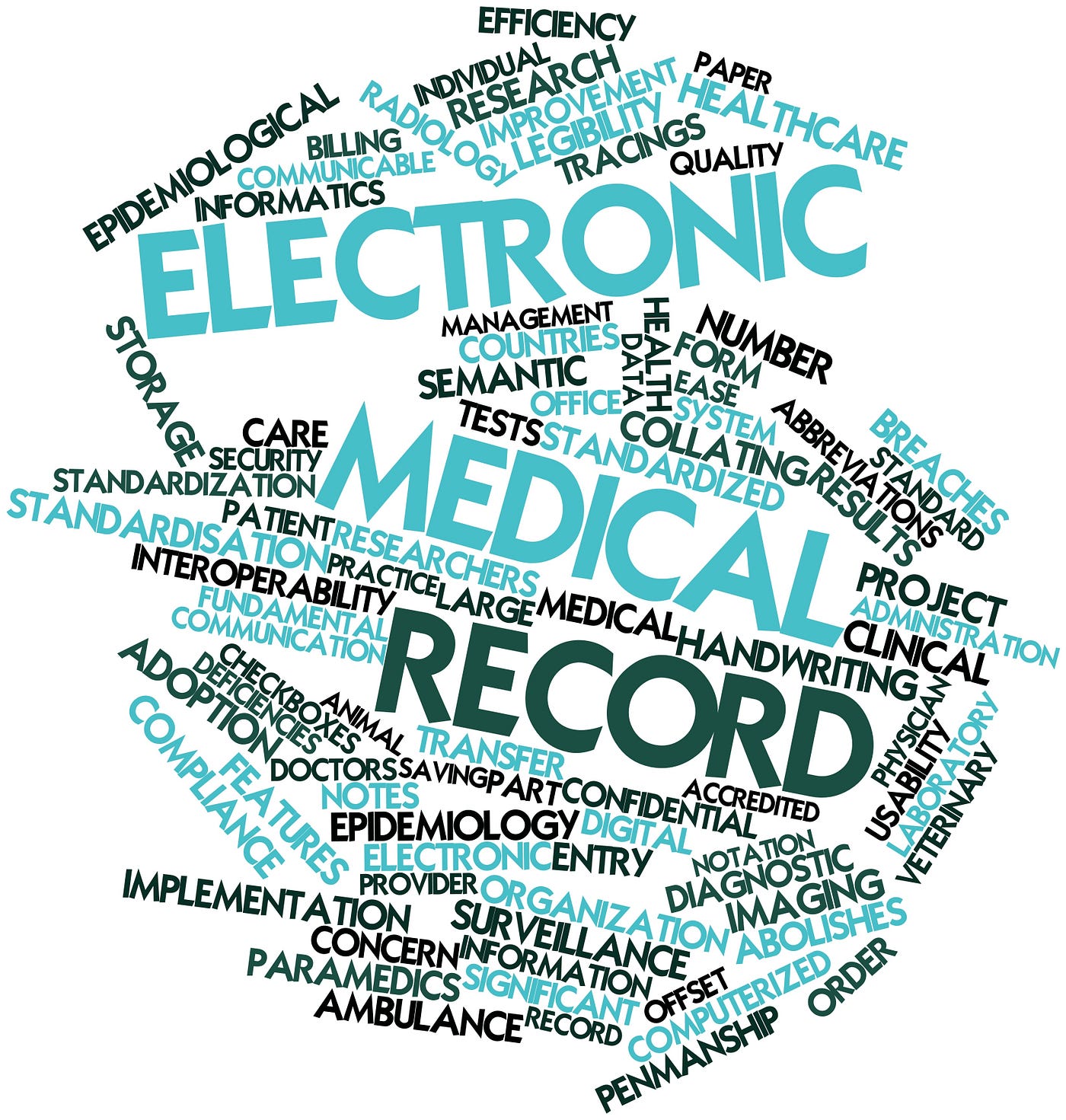 Long Term Care Electronic Health Record: Revolutionize Patient Care