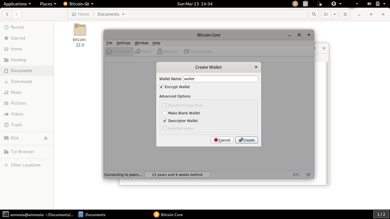 Bitcoin core as cold storage, sign transactions offline and generate  receiving addresses from the watch-only wallet. | by TracaChang | Medium