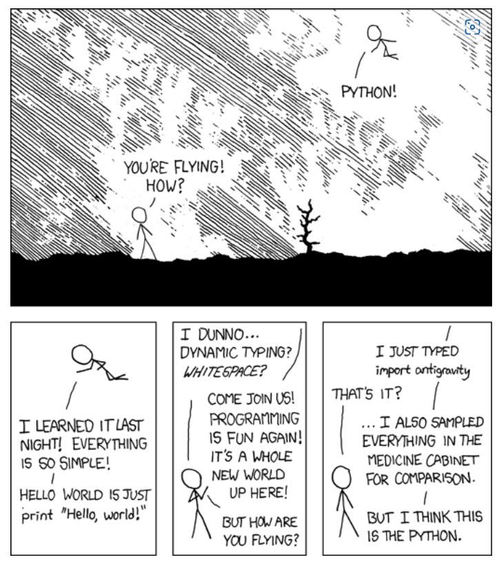 Python Language Comic
