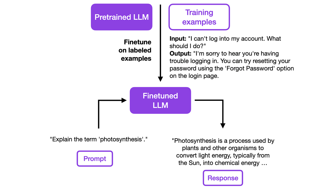 Strategies for Fine-Tuning Large Language Models
