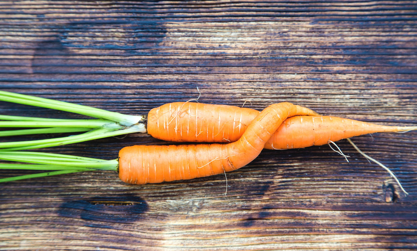 Carrots Health and Aphrodisiacs. We all know that carrots are