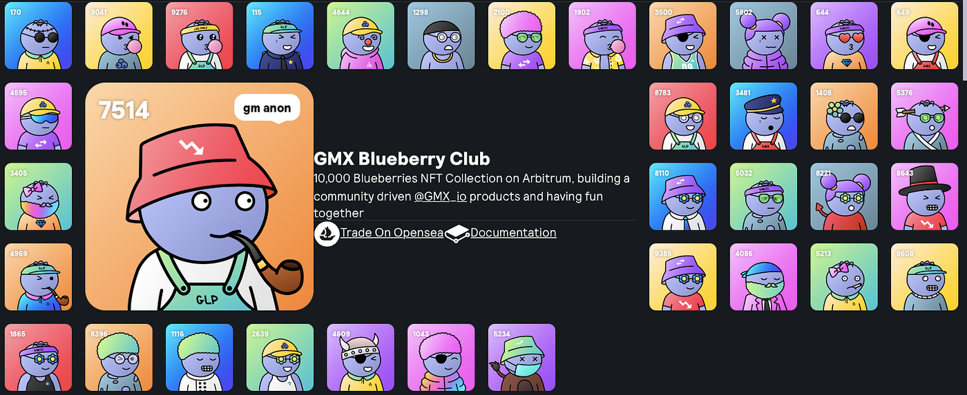 The Blueberry Club Case Study. A complete marketing study by a… | by  Leicheze | Medium