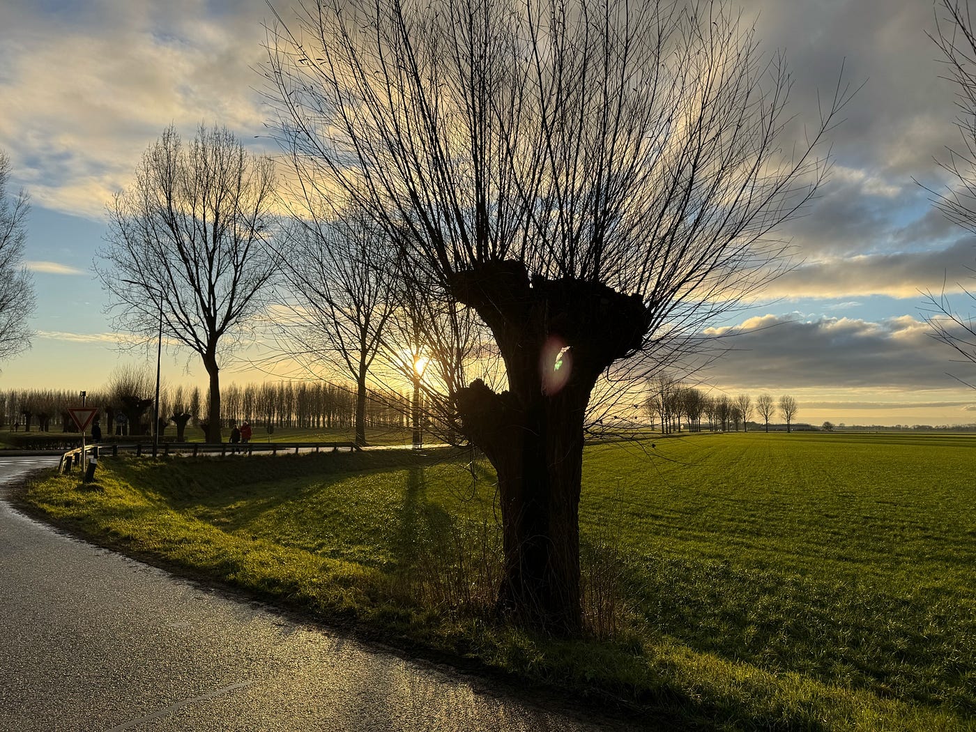 My “Lekker Anders Dag”: How a Dutch School Event Mirrored My Journey to the True Self
