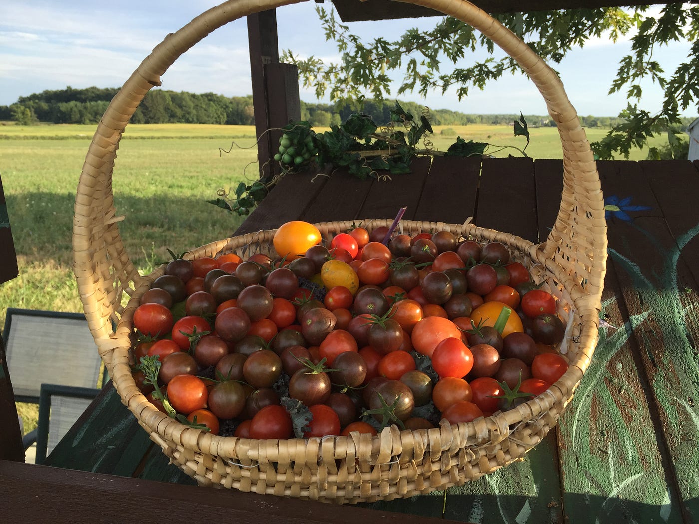Fruits Basket - Rotten Tomatoes