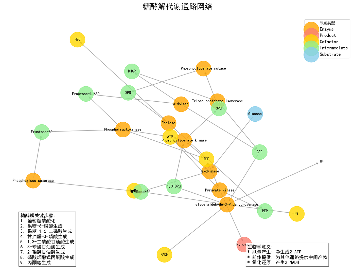 Python Graph Theory and Network Visualization:Network Structure, Path  Analysis and Biological Metabolic Pathways | by DebugTheWorld | Python in  Plain English