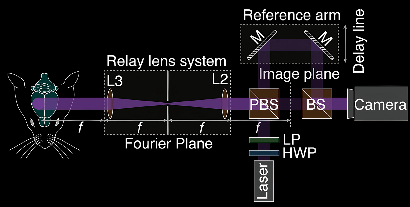 Coherent Optical Holographic Sensing