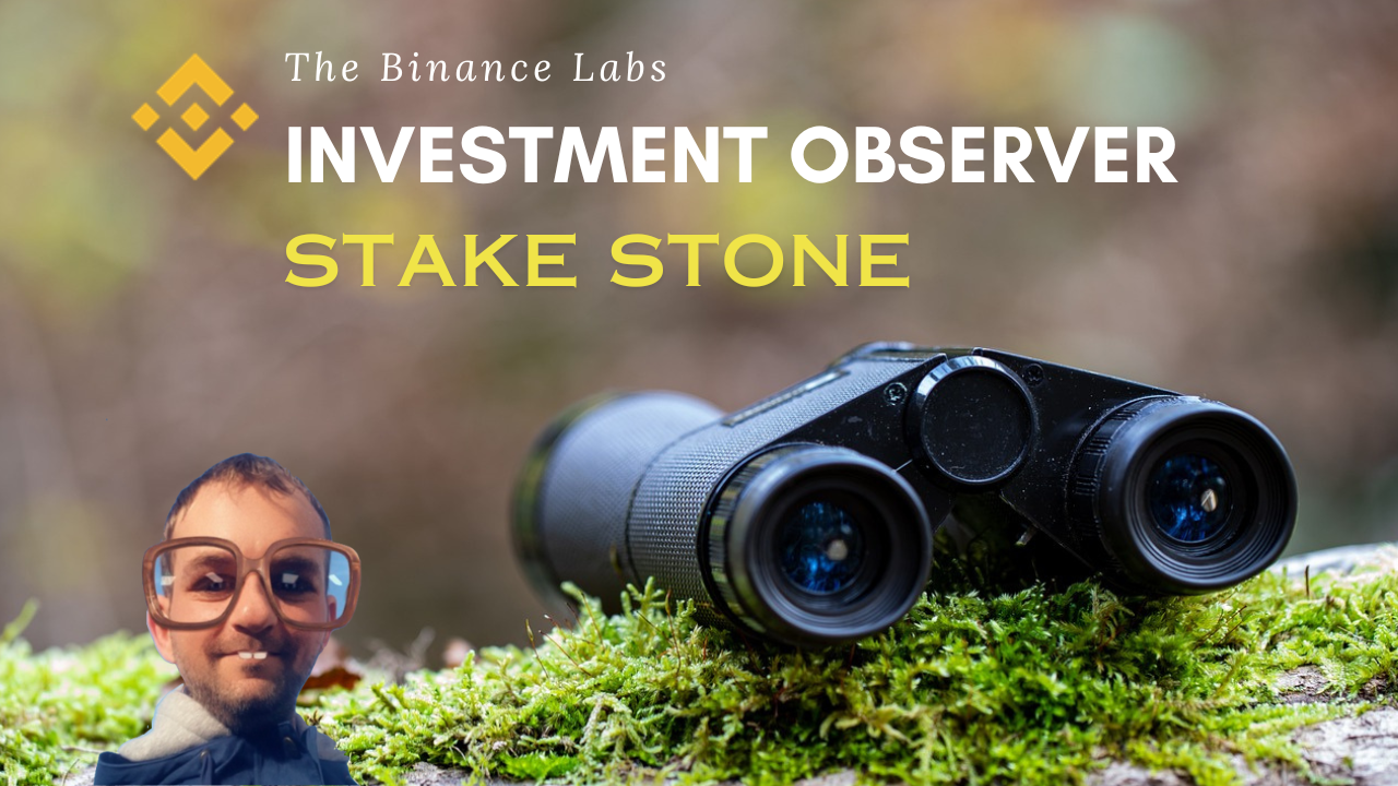 The Binance Labs Investment Observer — The Omnichain Liquidity Distribution  Network StakeStone | by Cryptonator`s | Medium