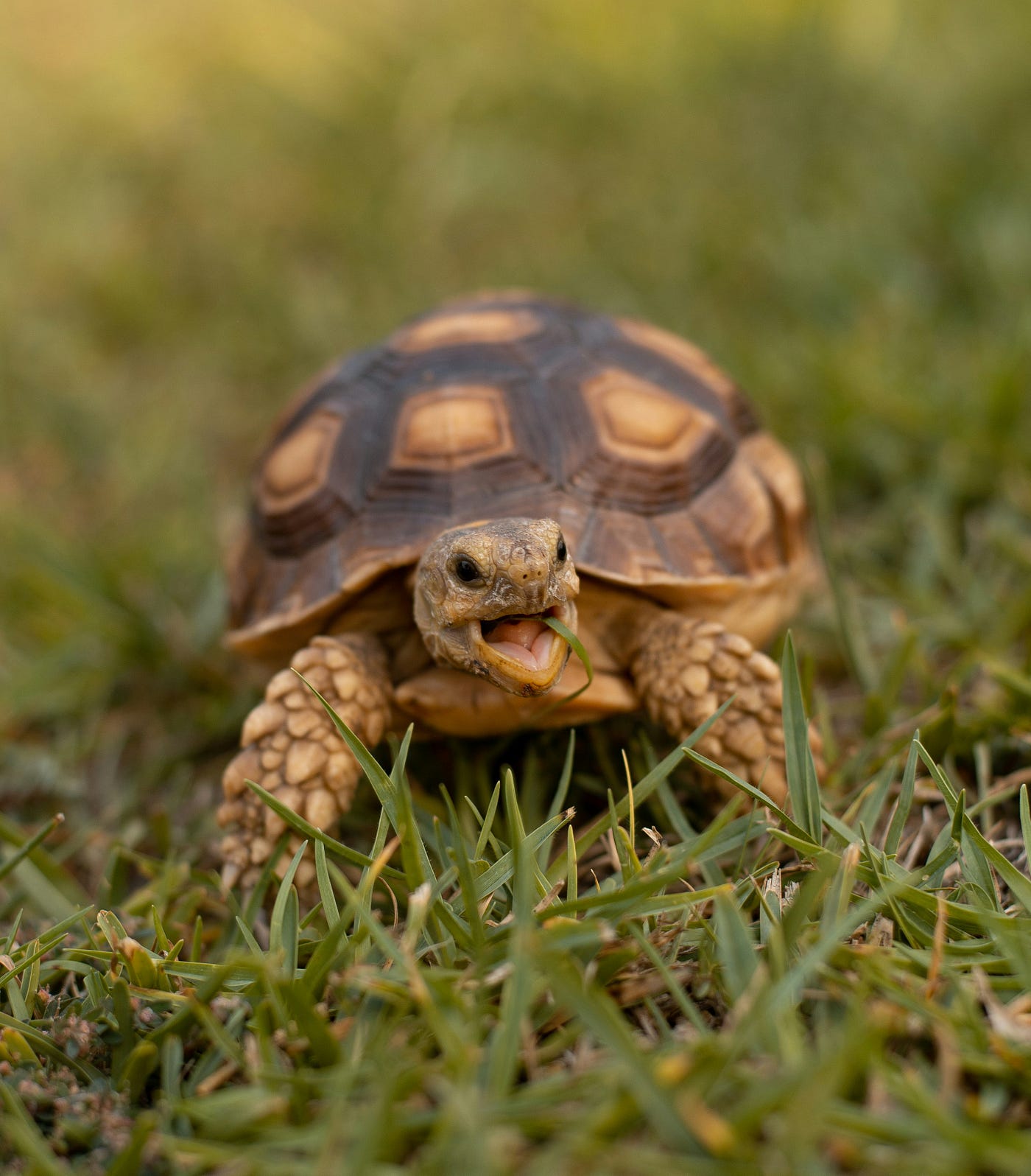 Photo by David Cadenas on Unsplash
