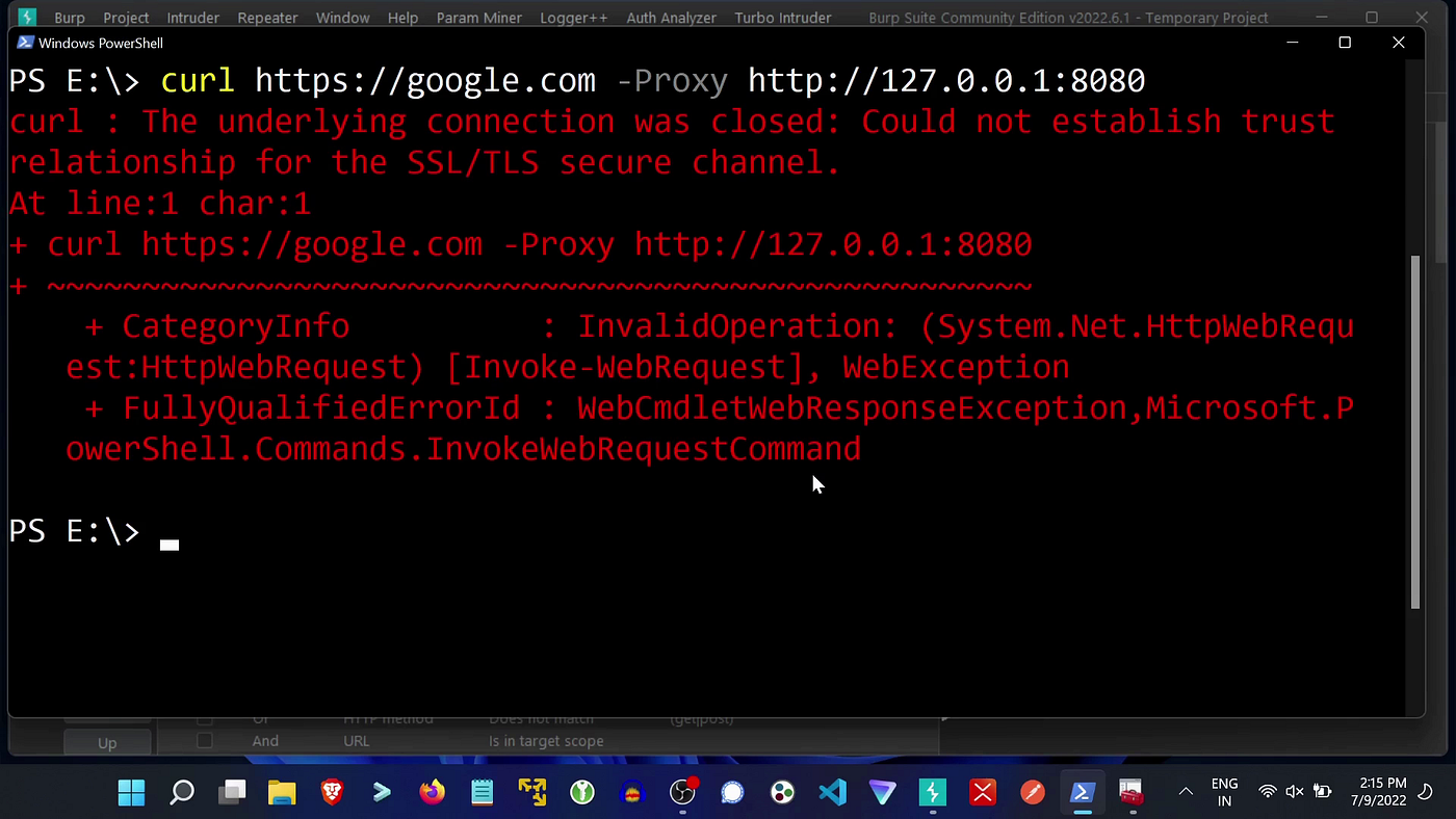 Intercept any HTTPS traffic in Burp Suite proxy (Windows/Linux) | by  Pradeep J. | Medium