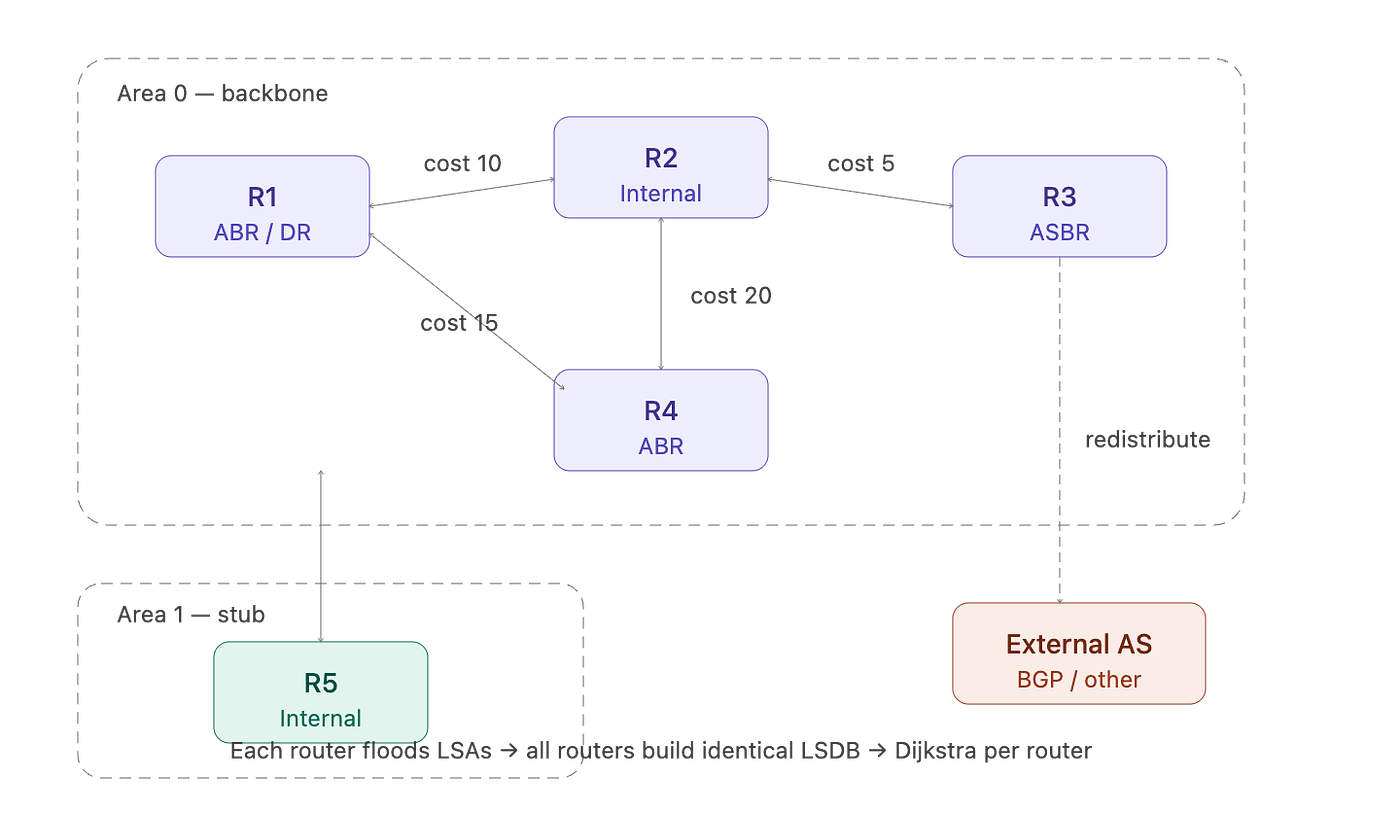 On network protocols — OSPF, IS-IS, BGP, PIM, IGMP, MPLS, LDP, RSVP, SR
