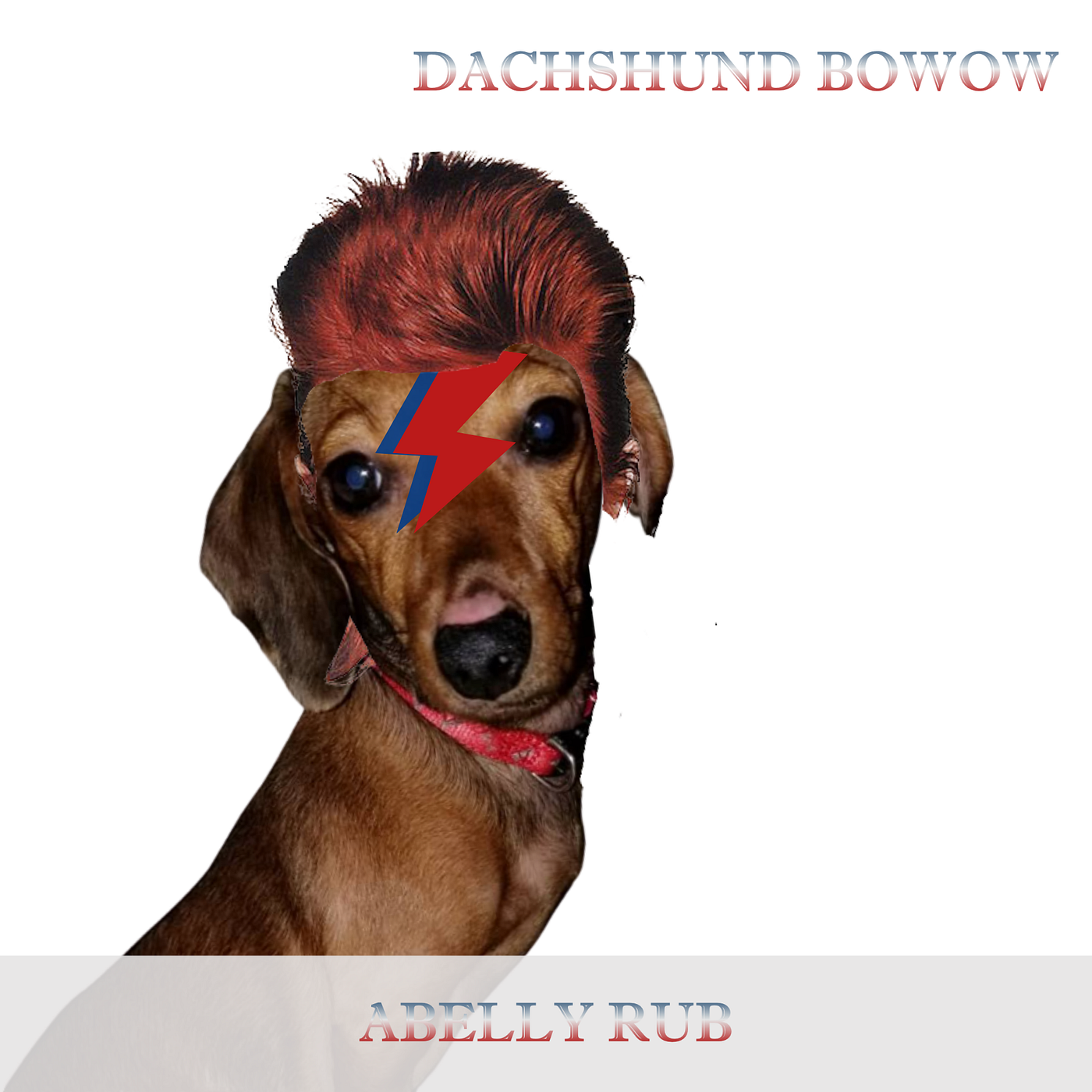 Top Dachshund Album Covers of All Time | by Laurie Livingston Nave | Medium