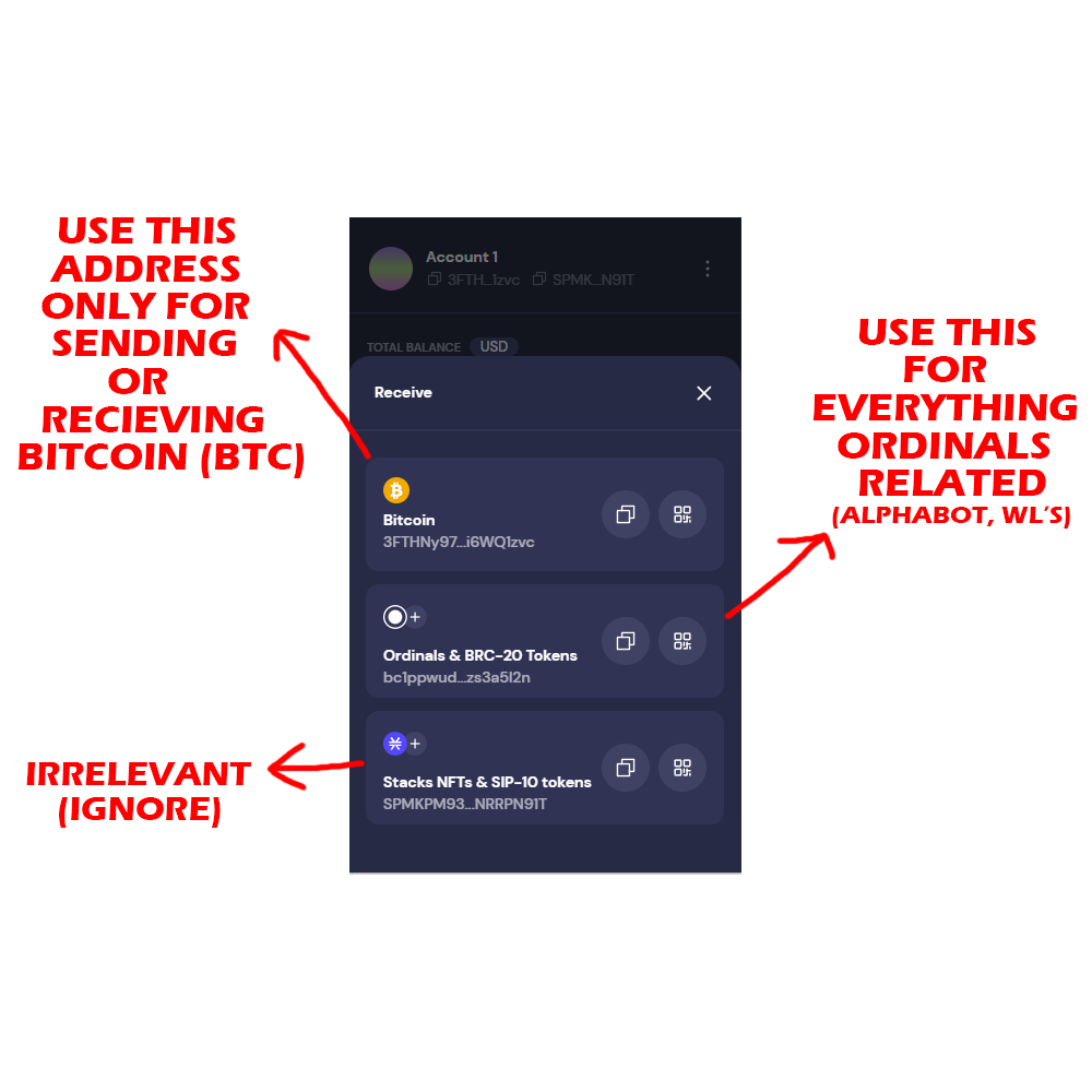 Ordinals Wallet Setup. Which Wallet Do I Use? | by Firenova | Medium