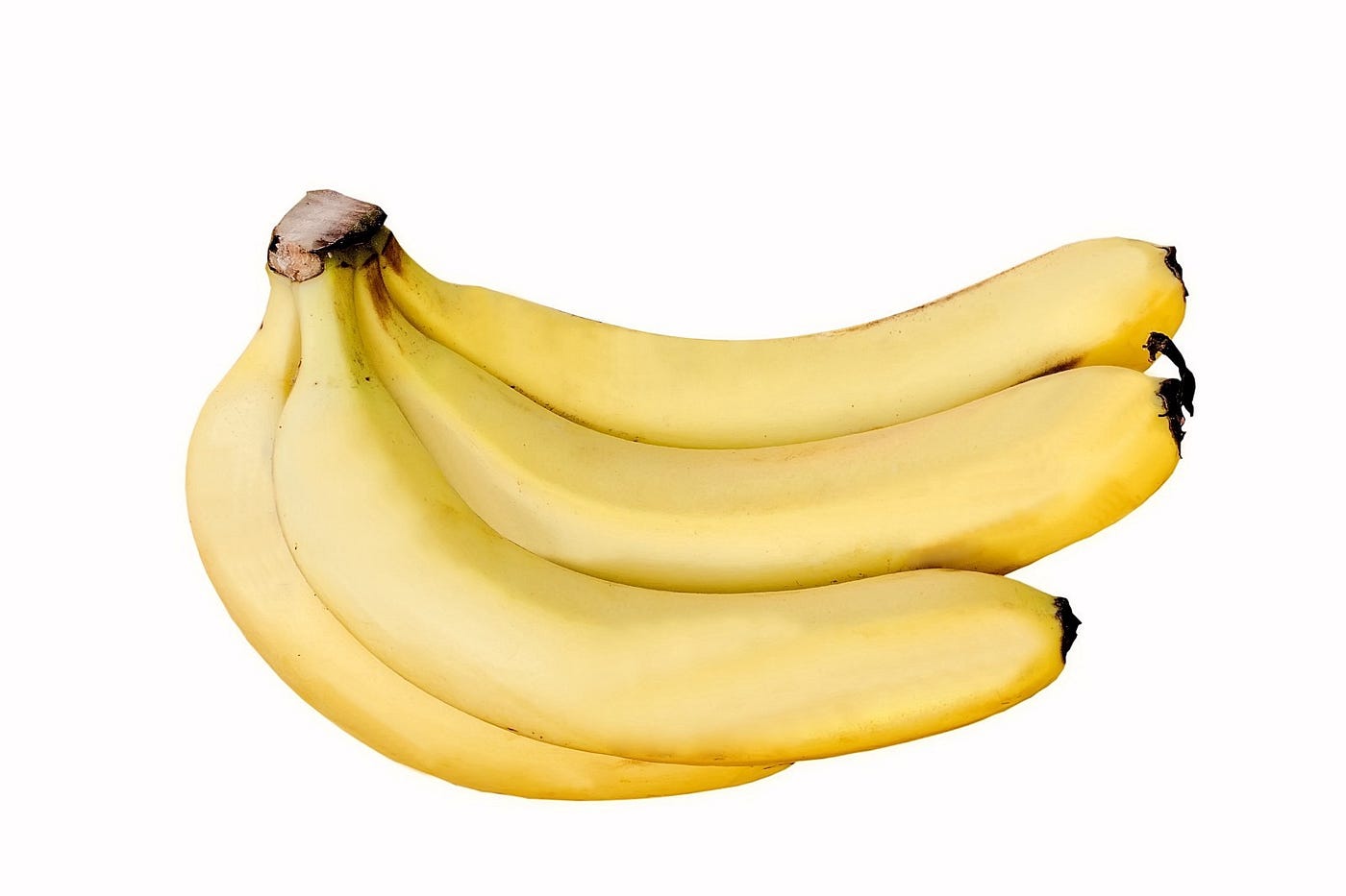 The desperate race to find bananas three missing ancestors by Abbey Food Science Fusion Medium