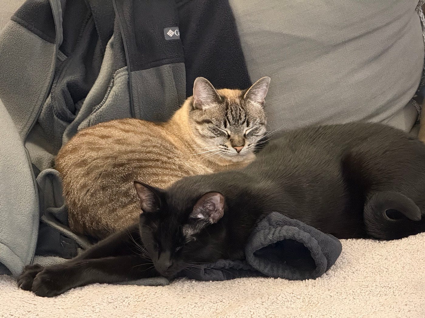 Comfortable