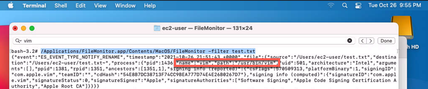 FileMonitor in action