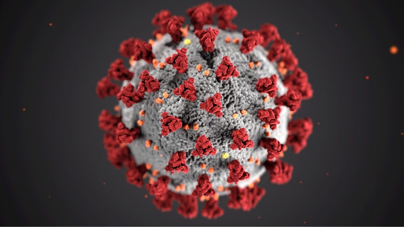 The Virus That Turned a Dream Holiday Into a Horror Film