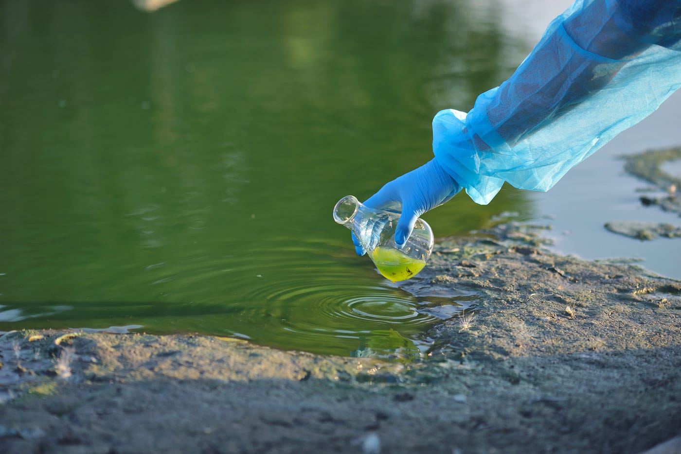 Water quality monitoring is essential