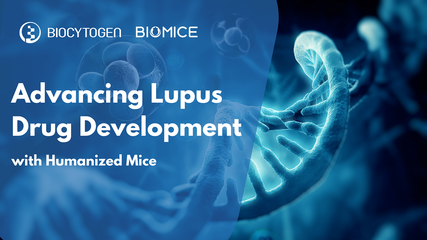 Targeting the Complexity of Lupus: Next-Generation Humanized Models Drive Precision Therapeutics