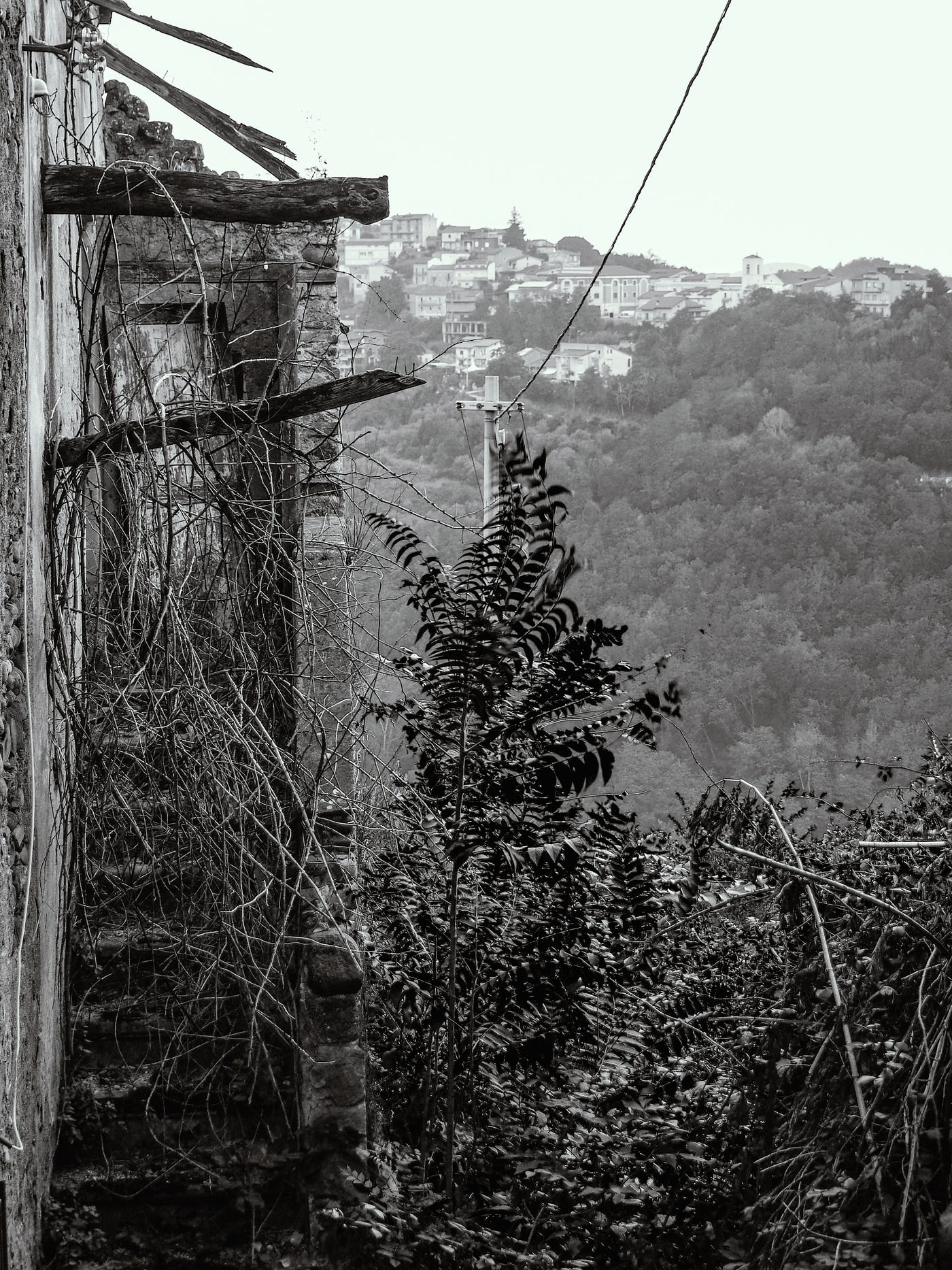 IL CANTIERE
