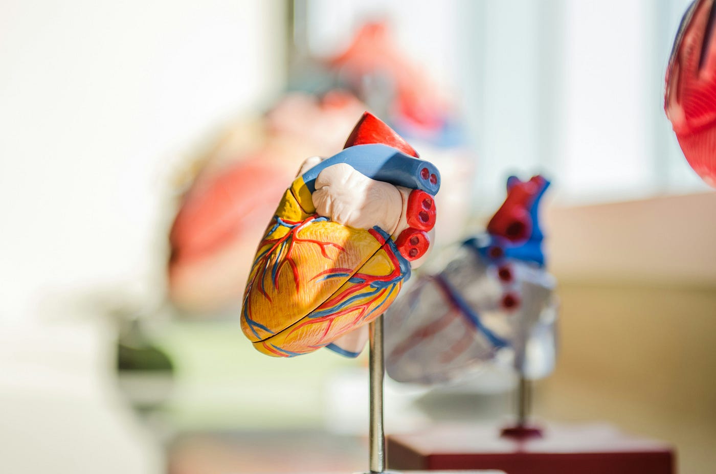 Heart Arteries and Heart Ailments: Understanding Coronary Artery Disease and Prevention