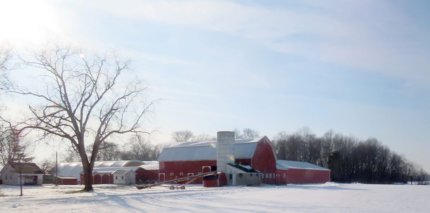 Photography by Dawn Ulmer, the author
