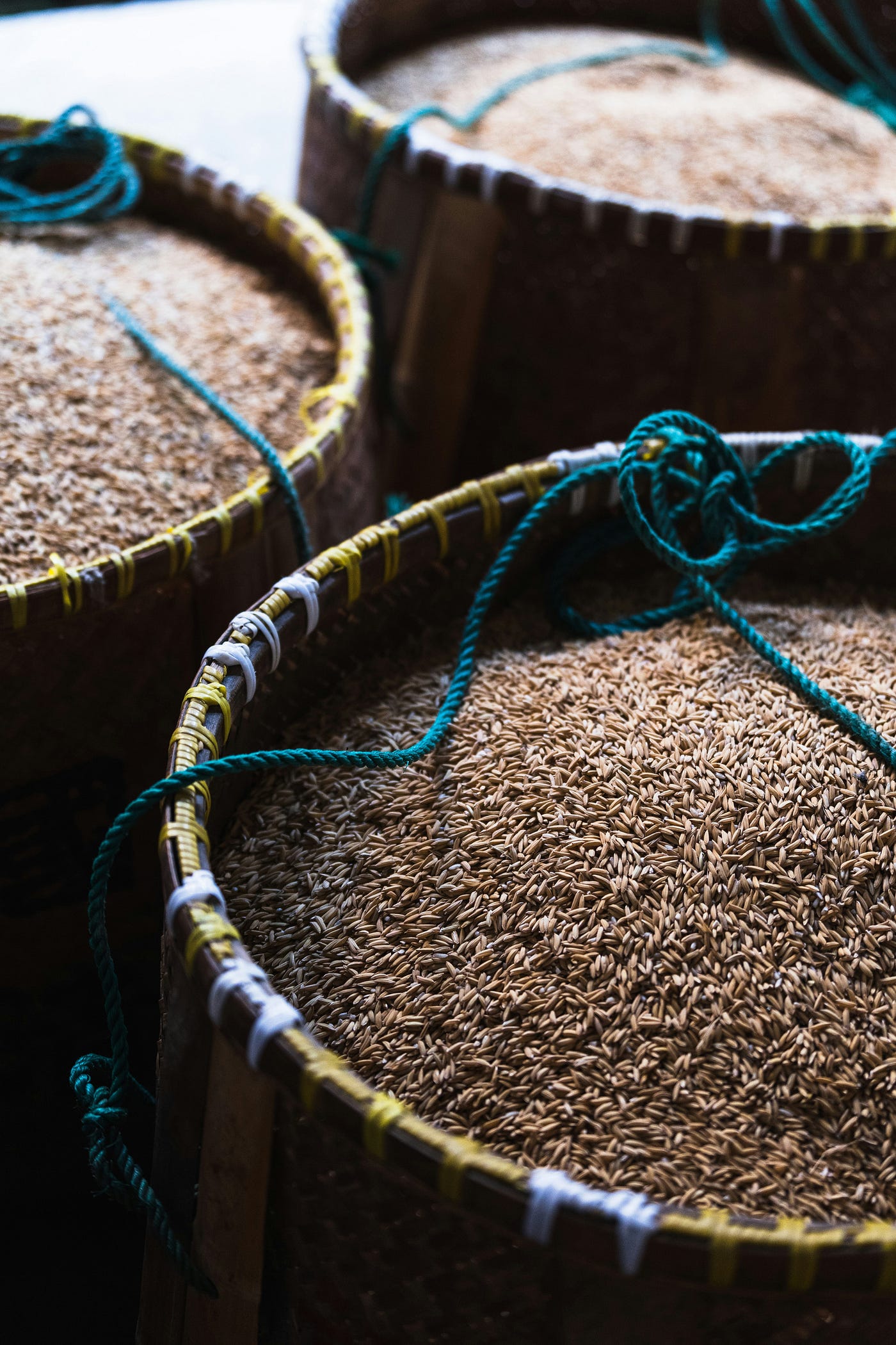 Cumin: A World of Flavor in One Tiny Seed