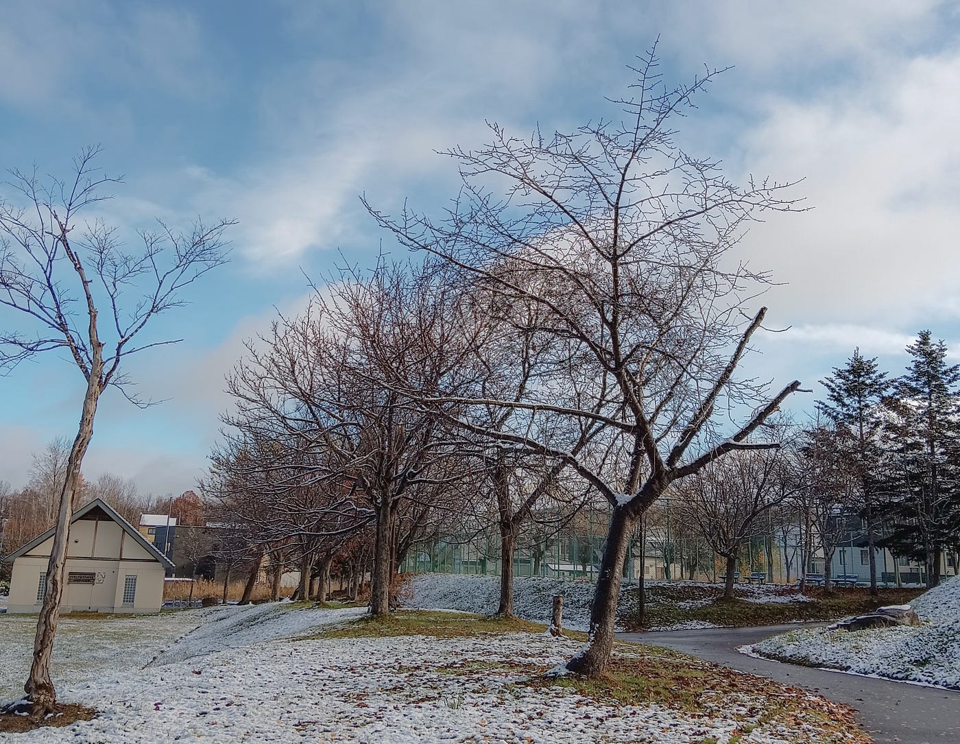 Menggali Banyak Makam di Hokkaido