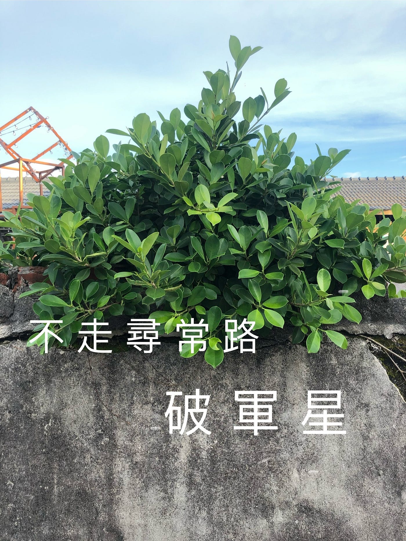 不走尋常路的破軍星