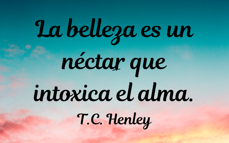 Frases de Belleza. 100+ Frases con Imágenes | FrasesDeVida