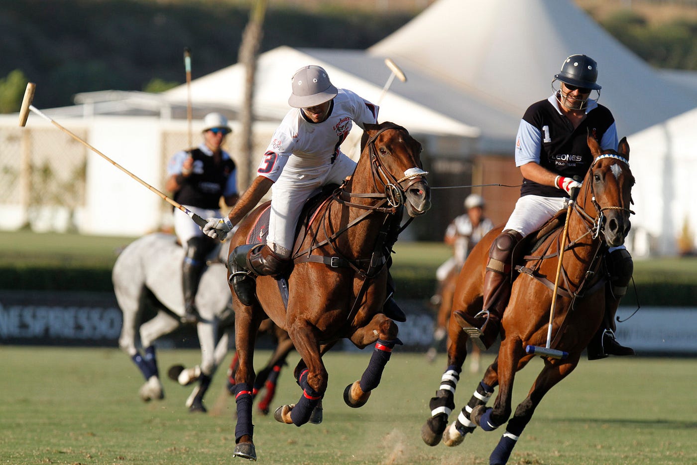 Juego de Polo. ¿Cómo surge el Polo como deporte? | by Horses Polo Argentino  | Medium