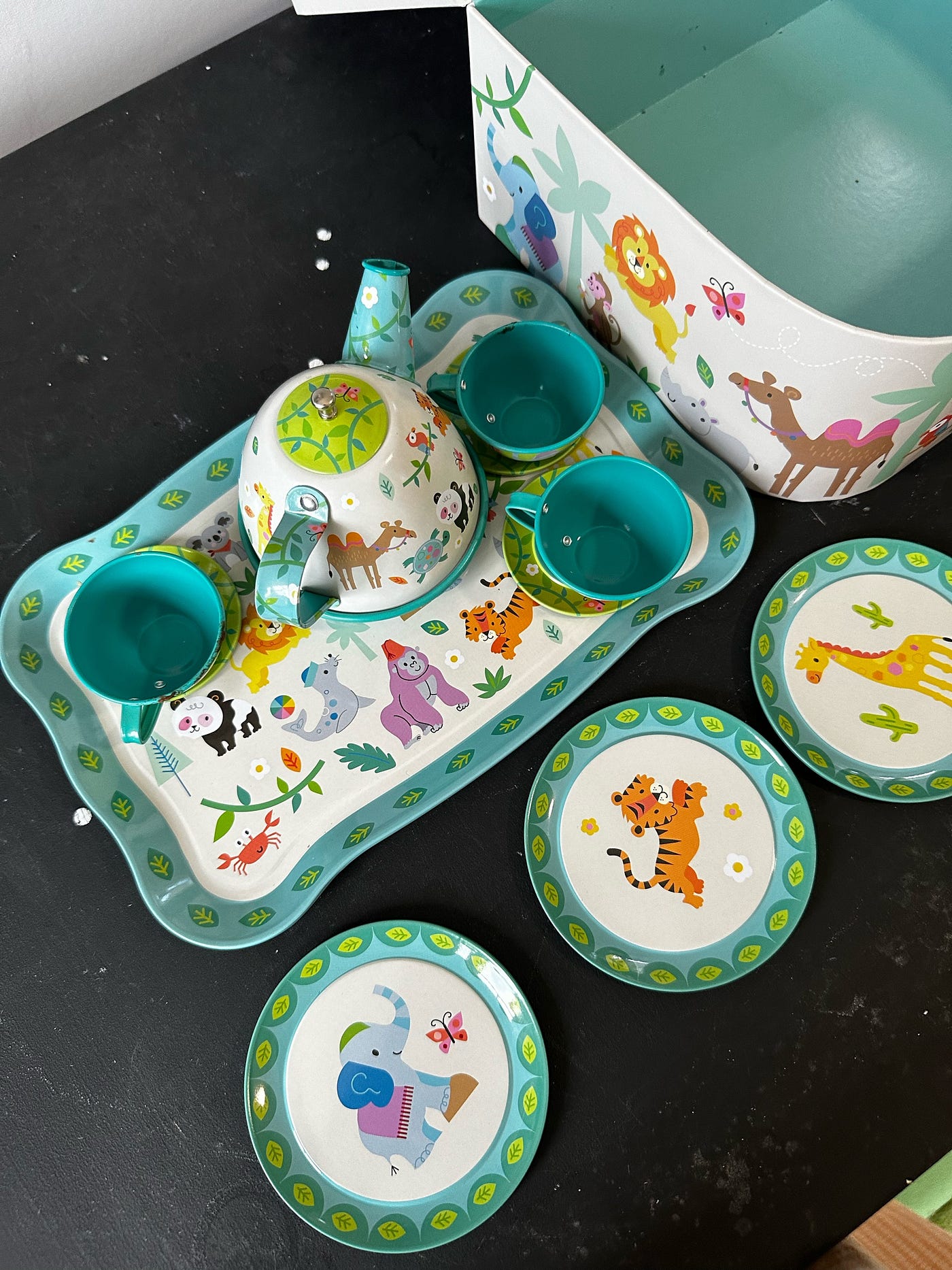 The tin tea set and little case Tiernan carries it in My photos