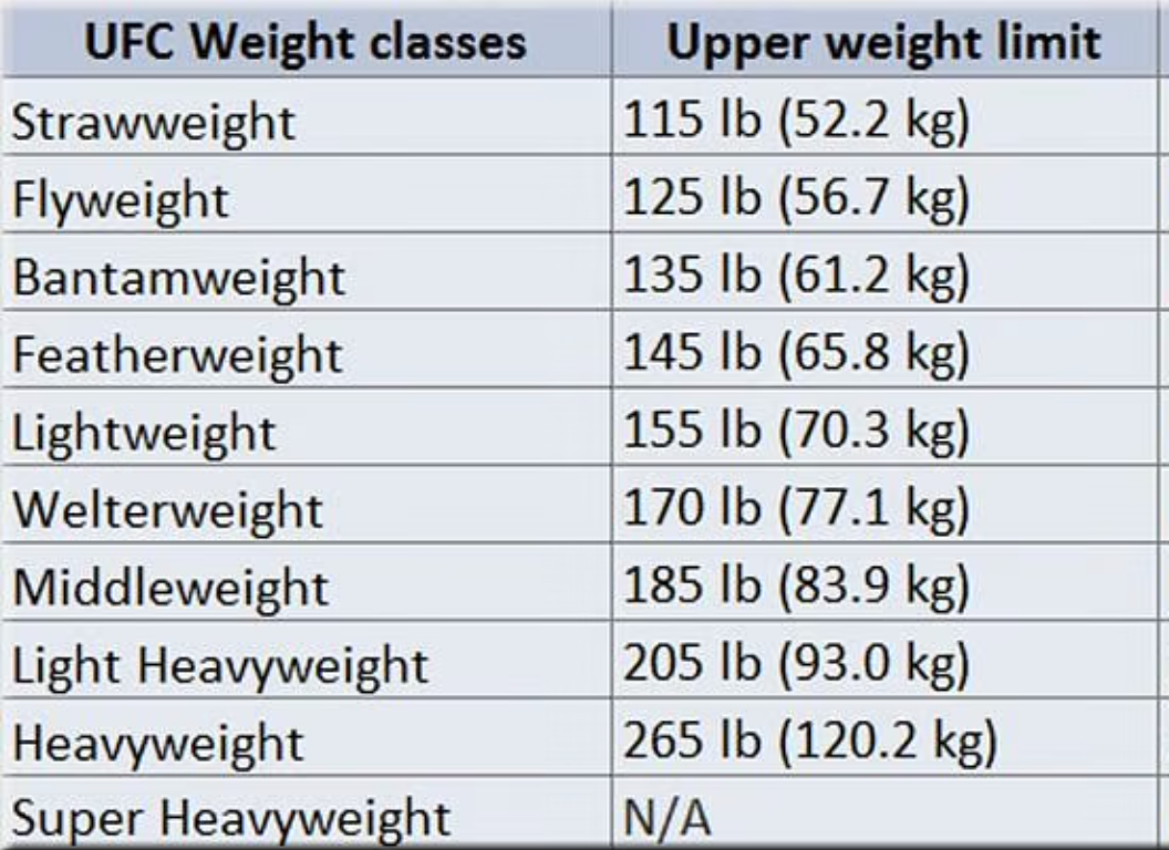 MMA for Dummies: A Guide for the Aspiring Fan | by Thierry Maout | Medium