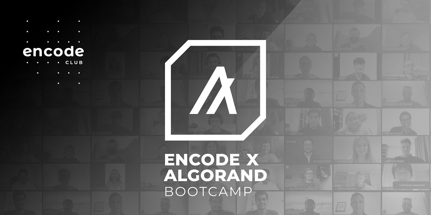 Encode x Algorand Bootcamp December 2022 Summary | by Neven Brlek | Encode  Club