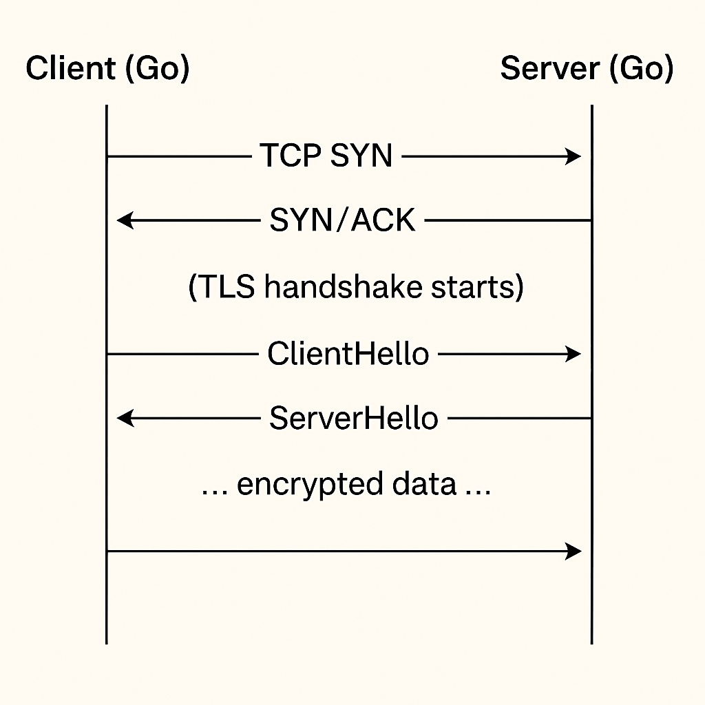 Go HTTPS Server: Building, Testing and Monitoring Secure Connections | by  Harishkumar Pillai | Stackademic