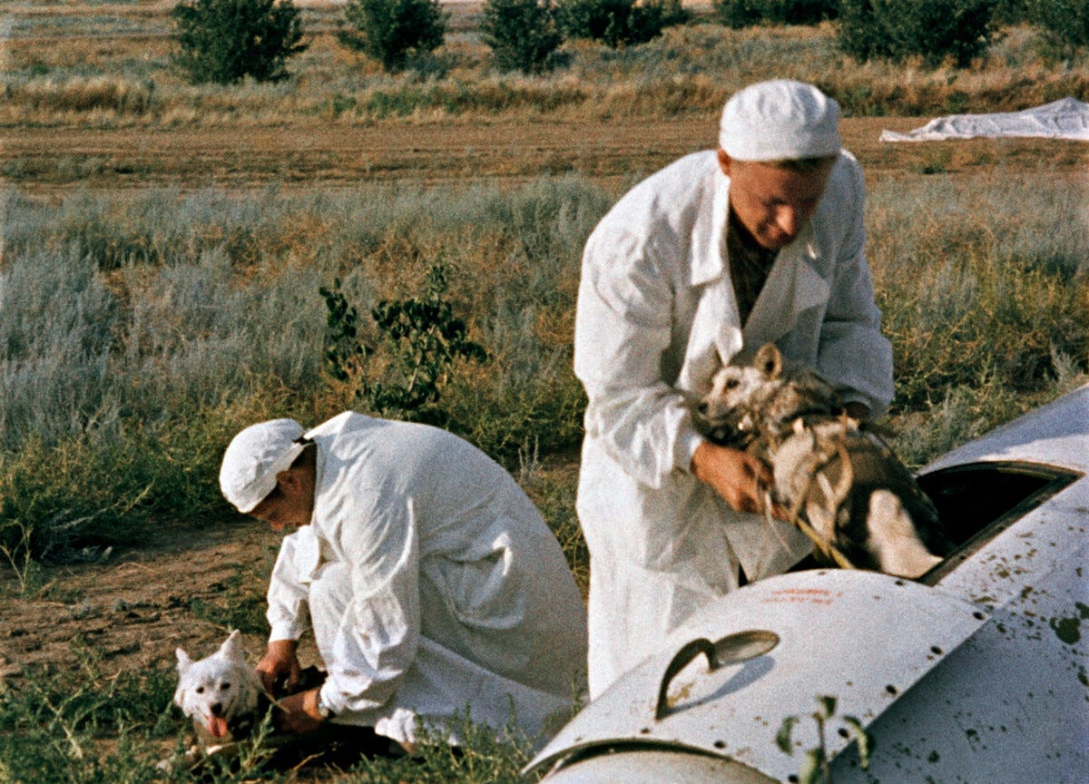Belka and Strelka: The First Dogs to Return from Space Alive | by