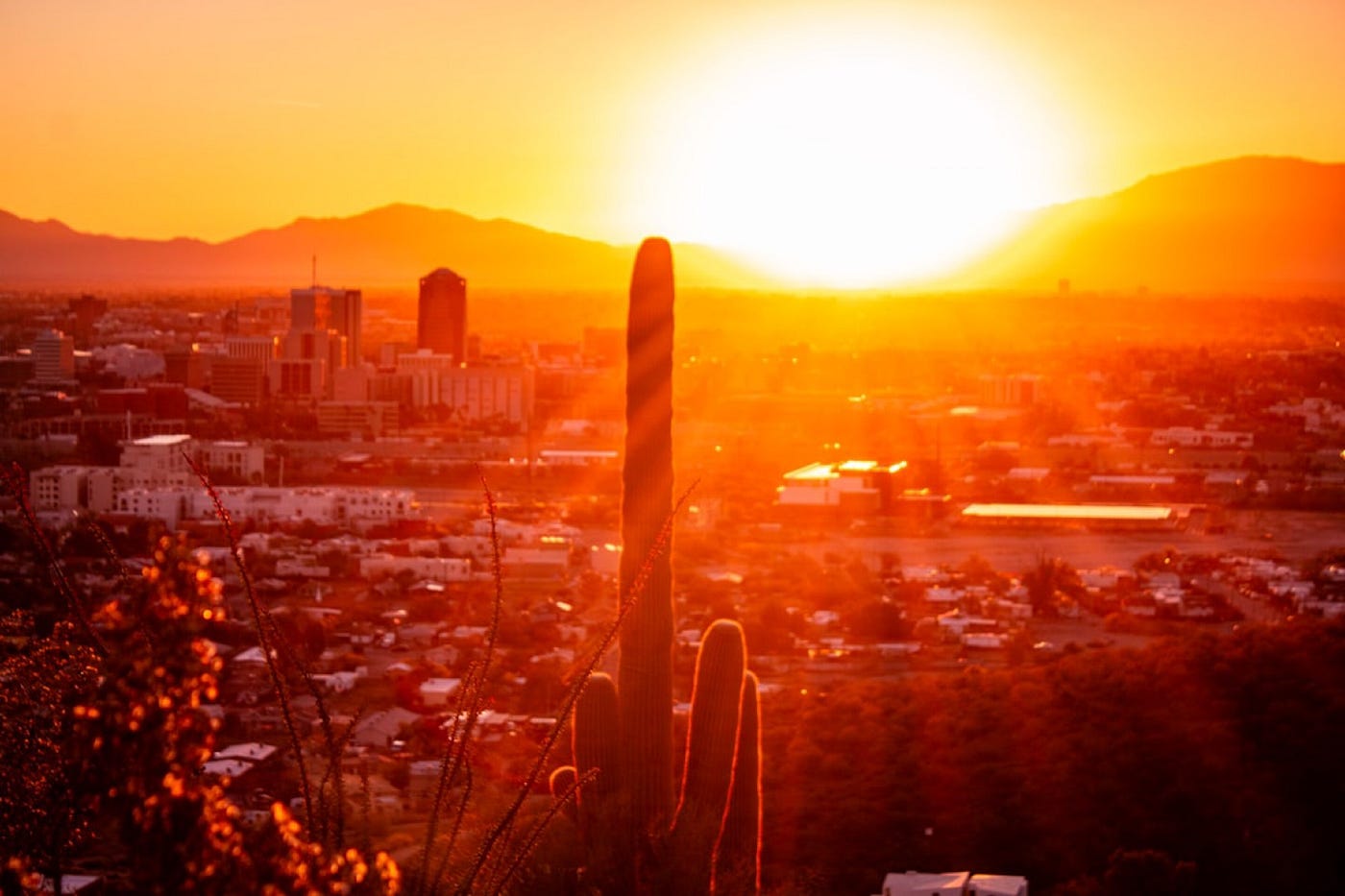 Summers in Tucson