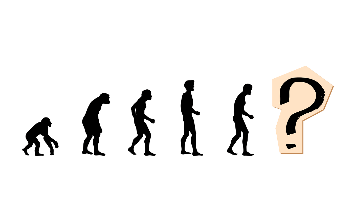 If Our Ancestors Were Monkeys, What Will We Be Ancestors To?