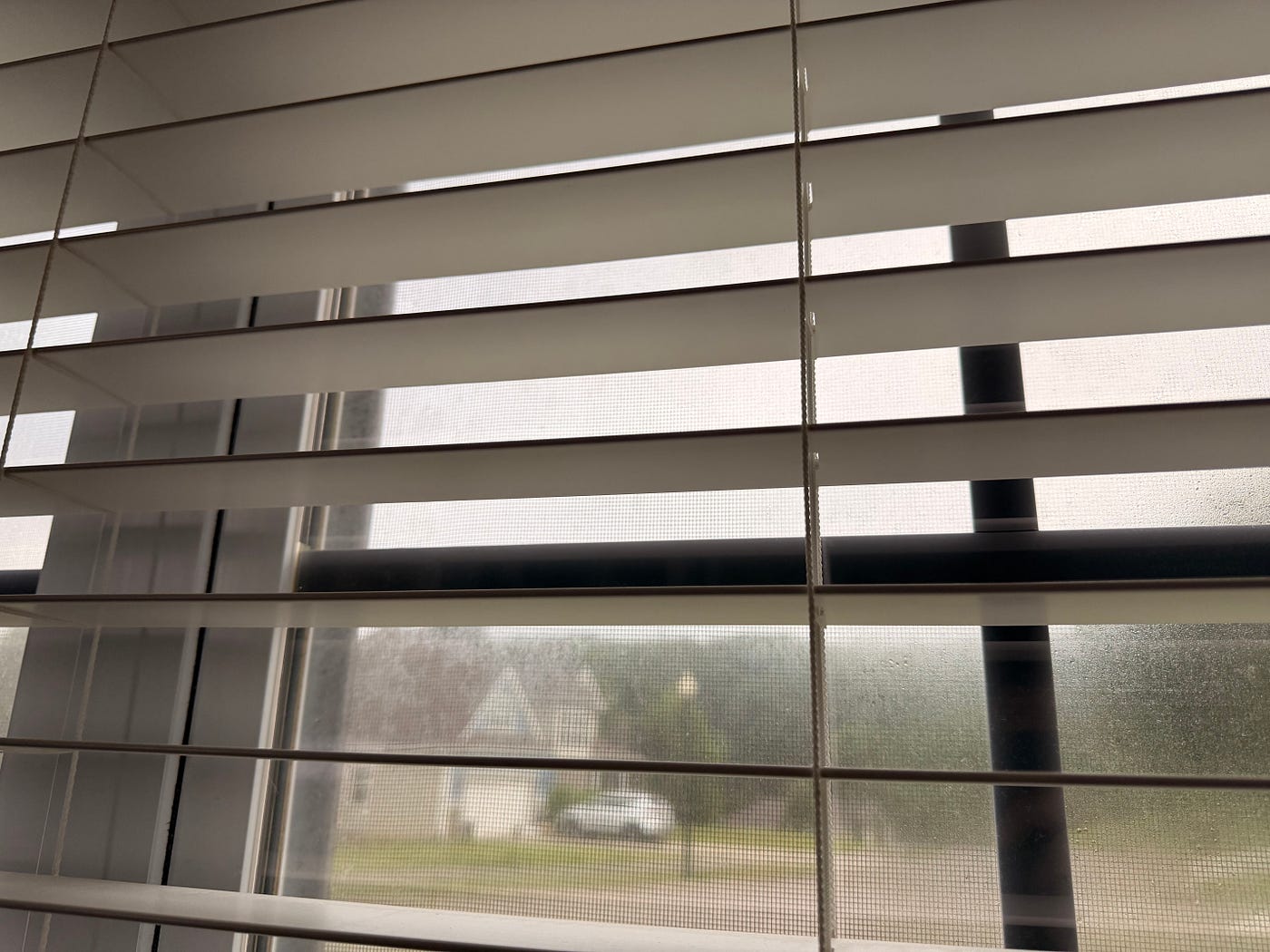Thoughts That Run Through a Poet’s Mind While Gazing Between Window Blinds Out On a Metal-Grey and…