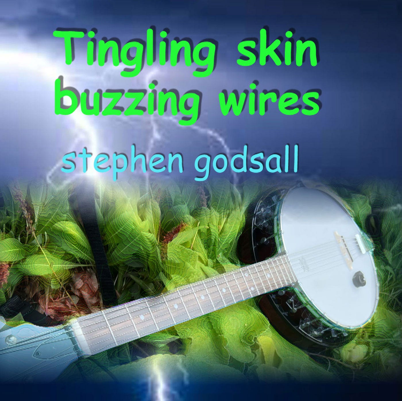 Album Review: Tingling Skin, Buzzing Wires by Stephen Godsall